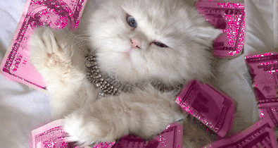 Elégedett vagy a fizetéseddel? Nyugi, mások sem azok