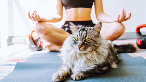 A négy leghatékonyabb légzőgyakorlat a stressz kezelésére