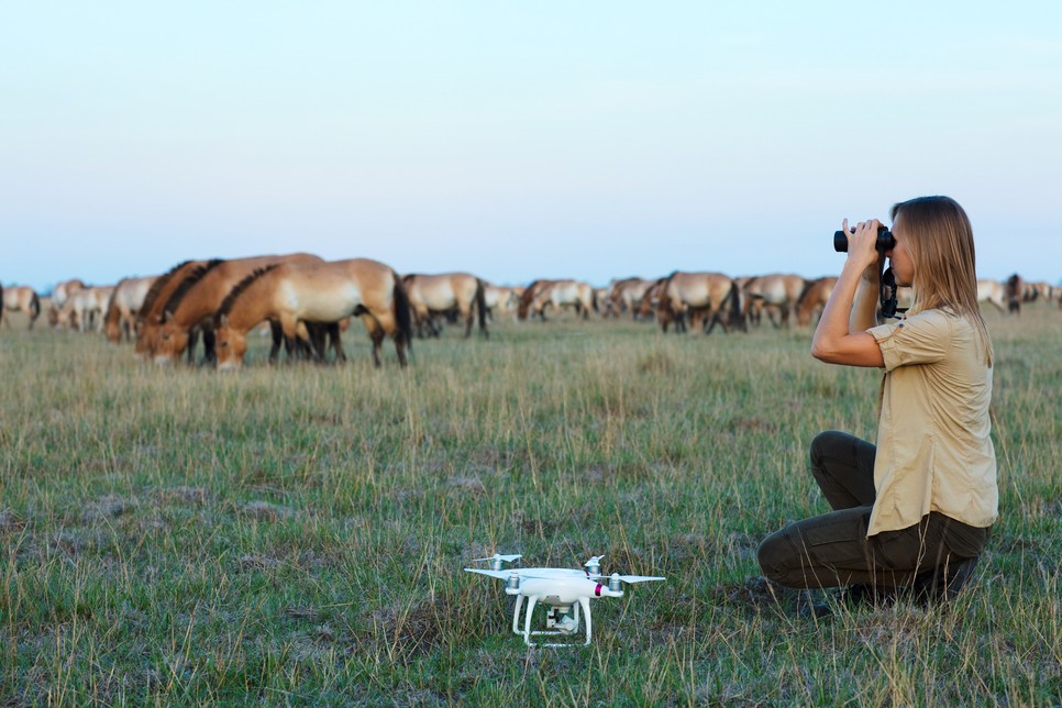 Ozogány Kata és a mindennapjai: egy drón, egy távcső és a vadlovak