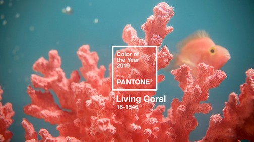 Ez lesz 2019 színe: imádni fogod