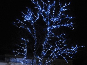 Balatoni borkarácsonyfa a Városligetben