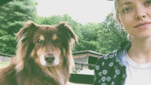 Így lazít Amanda Seyfried kutyusával hétvégén