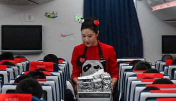 Dior egyenruhában vécét pucolni? - A légiutaskísérők ellentmondásos világa