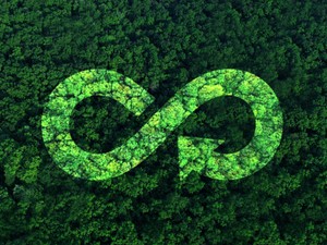 Ez már valami! Ez a cég mutatja az utat a fenntarthatóság irányába