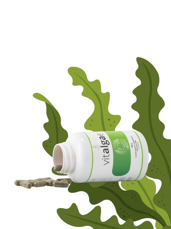 Komplex algakészítmény VITALGAE 15 900 Ft/146 g (108,9 Ft/1 g)