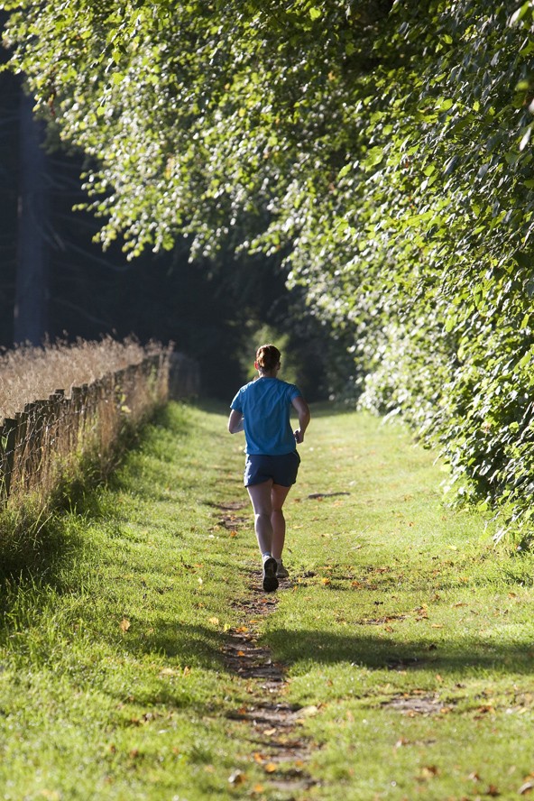 Csak a kezdet nehéz