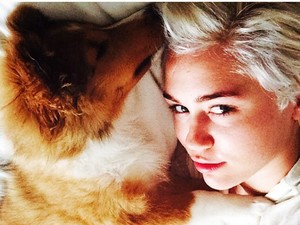 Bemutatjuk Miley Cyrus elképesztően aranyos kiskutyáját