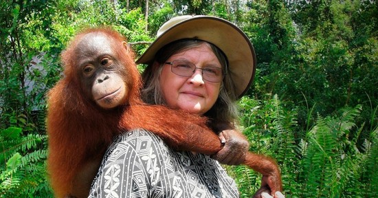 Ezért boldogabbak az orángutánok, mint mi – és ezt tanulhatjuk tőlük