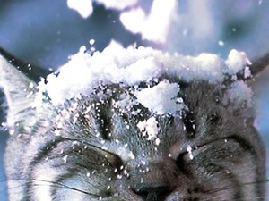 Újra téliesre fordul az idő! Havazásra és havas esőre kell számítani