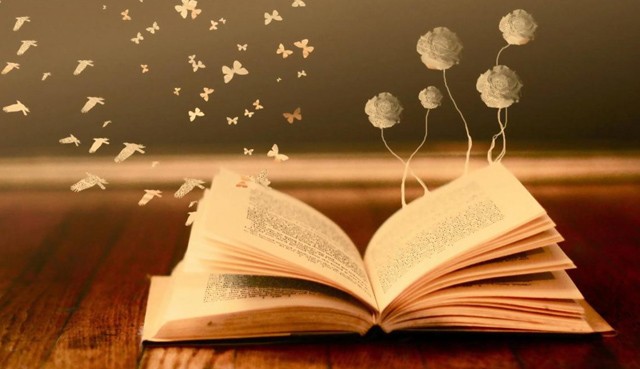 7 különleges könyvajándék karácsonyra