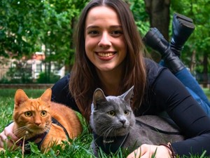 A macskák szerepe a mentális egészség megőrzésében