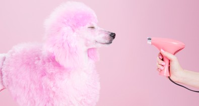 Ezt a hibát mindannyian elkövetjük hajszárítás során pedig nagyon nem kellene 