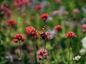 Csodás helyen, egy városi oázisban próbálhattuk ki a Samsung legújabb okos eszközeit