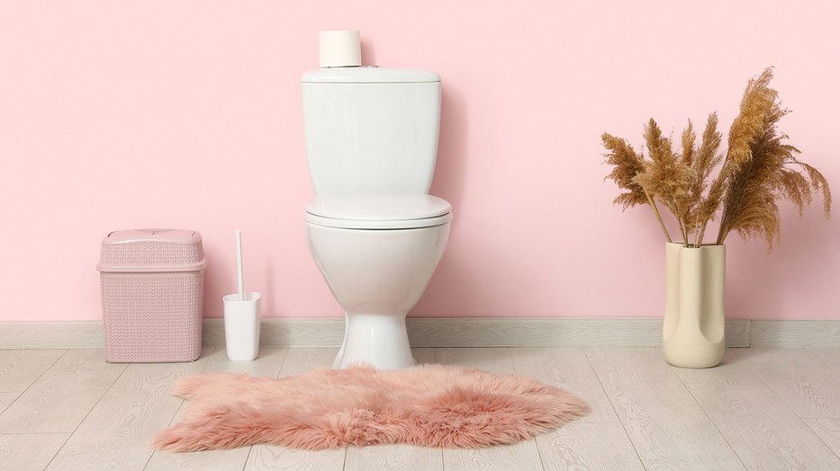 Ezért érdemes mindig lehajtanod a WC-ülőkét