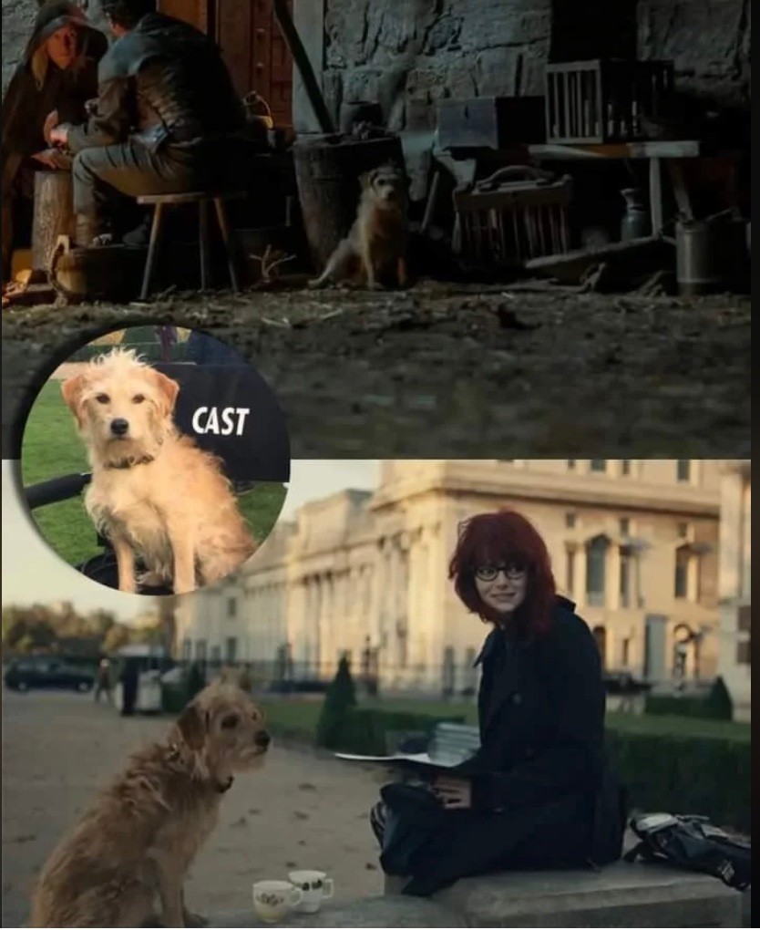 A Sárkányok háza kutyusa szerepelt a Szörnyella című előzményfilmben is