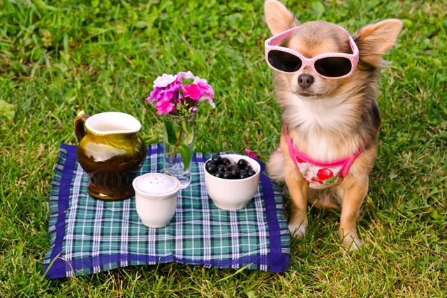 Ezek a növények az egekbe tolják a boldogsághormonjaidat