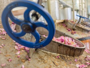 Elképesztő, hogy hogyan kerülnek bele a természetes összetevők szépségápolási termékeidbe