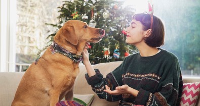 Minden idők legerősebb karácsonyi reklámjait nehéz megállni könnyek nélkül