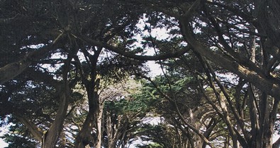 16 évesen körbeutazta a világot, 12 évesen regényt írt ez magyar származású csodalány!