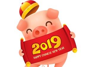 Változás, új lehetőségek - Minden, amit tudnod kell a DISZNÓ évéről