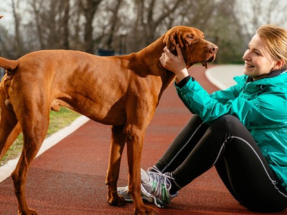 A kutyáddal szeretnél futni? Ezeket kell tudnod a közös sportolás előtt
