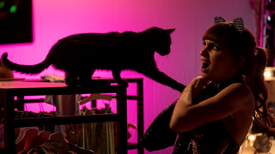 A Cicaverzum című film főszereplúi, Törőcsik Franciska és a cica