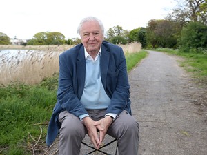 5 tanács David Attenborough-tól a fenntartható élethez