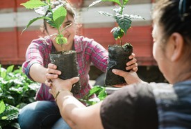 A Starbucks etikusan előállított kávét kínál, edukálja a fogyasztókat a környazettudatosság területén, és együttműködik a fenntarthatóságban élen járó vállalkozásokkal, szervezetekkel
