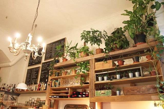 Ökotudatos ebédmenü a Parlament közeléből biciklis házhozszállítással