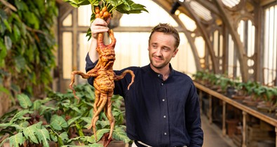 Tom Felton alkoholista lett a Harry Potter után, és az elvonóról is megszökött