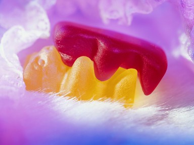 Toronymagasan ezekkel a csillagjegyekkel a legizgalmasabb a szex