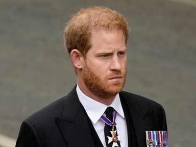 Vége van, Harry herceg elvesztette a jogi csatát