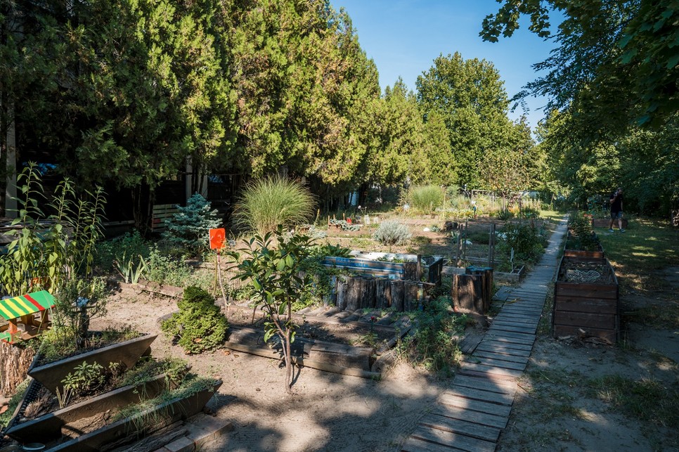 Egy fenntartható és környezettudatos jövőért: Iskolakertet gondoznak a diákok!
