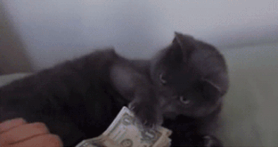 5 okos ötlet, hogy ne pénzügyi katasztrófával induljon a következő éved