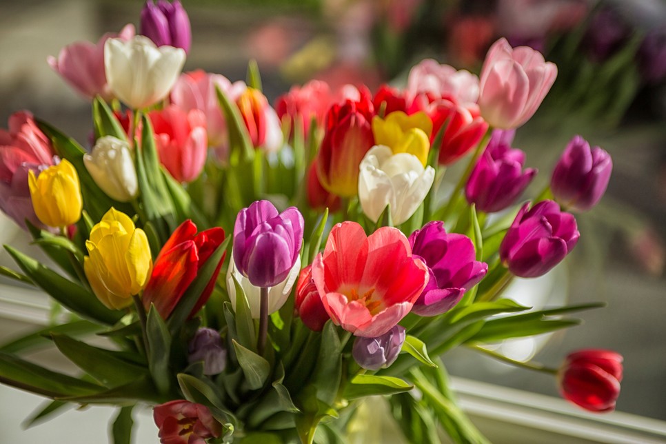 Ezt a virágot válaszd Anyák napjára a horoszkópja alapján