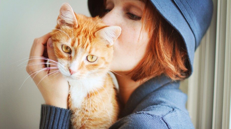 Most kiderítheted, mennyire vagy képben a cicatartás szabályaival