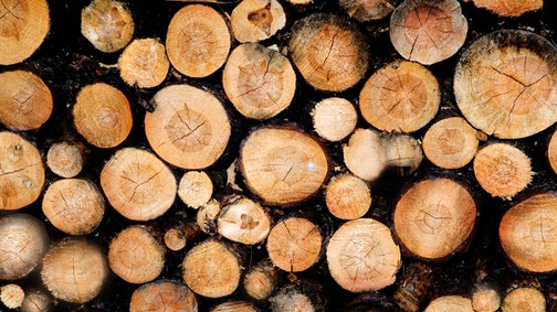Az új tűzifa-rendelet a szegény háztartásokat szorítja leginkább csapdába