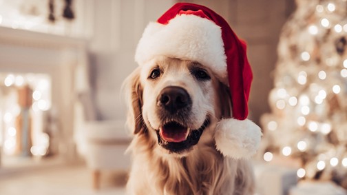 10 időtálló, csodaszép karácsonyi reklám, amit mindig jó újra megnézni