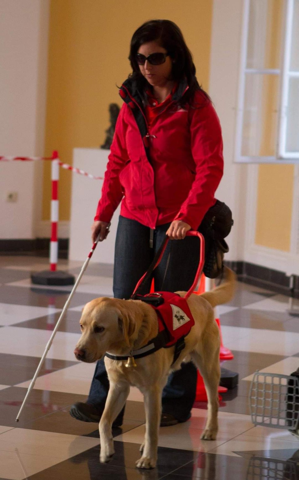 A vakvezetőkutya és gazdája között nagyon szoros a kötelék