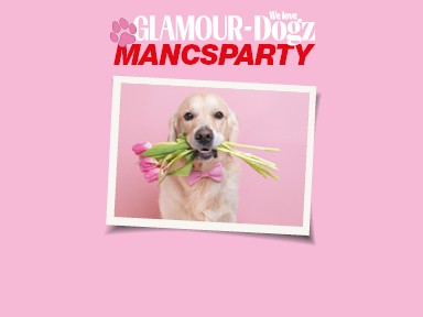 Mancsparty