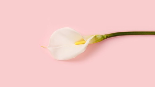 Igen, teljesen oké, ha több orális szexet szeretnél, csak tanuld meg kérni