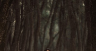 A tündérmesék menyasszonyai elevenednek meg Nora Sarman Wilderness kollekciójában