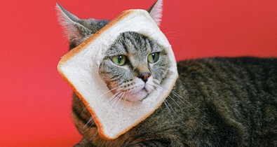 Hízást és hiánybetegségeket okozhat a gluténmentes diéta