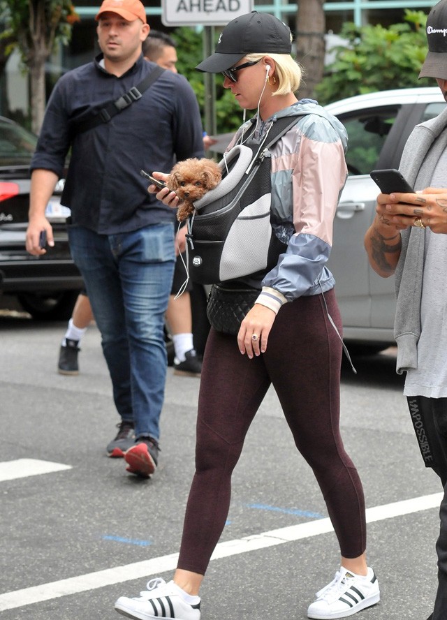 Katy Perry a kutyusával