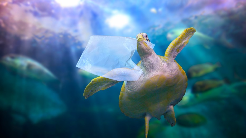 Miért gondol mást négy generáció a fenntarthatóságról?