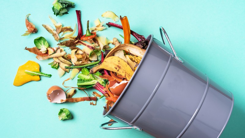 Komposztálás a városban? Lehetséges?