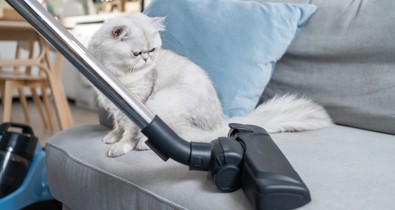 12 hiba, amit konyhai takarítás közben vétesz, és a mikrobiológusok szerint sürgősen le kell velük állnod