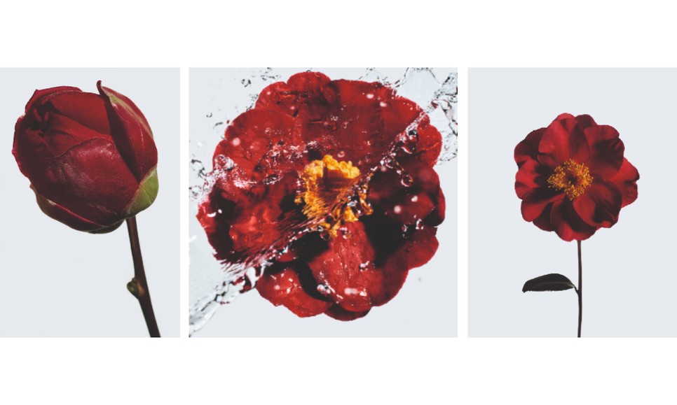 A Chanel egyik prioritása, hogy olyan formulákat dolgozzon ki, amelyek összetevői tisztelik a környezetet és fenntarthatóbb forrásból származnak