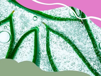 Az aloe vera 8 előnye, amiért érdemes a szépségápolási rutinodba beillesztened