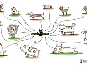 Megfiatalodnak az idős kutyák az ,,Érzékenyítő-gépben"
